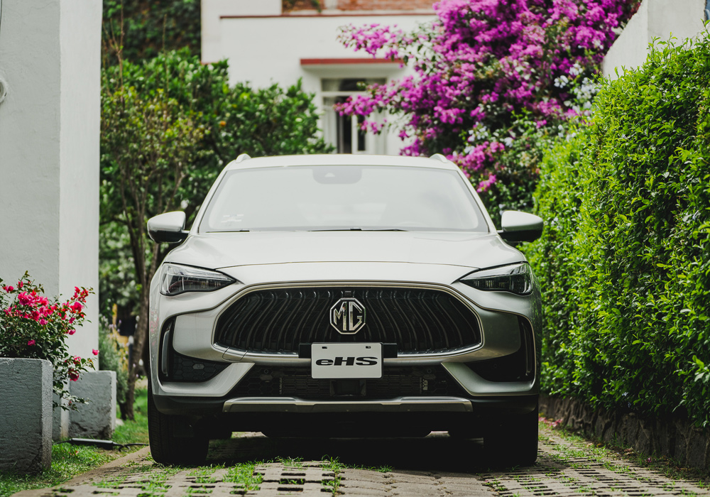 Card image mg_ehs_1.jpg ehs