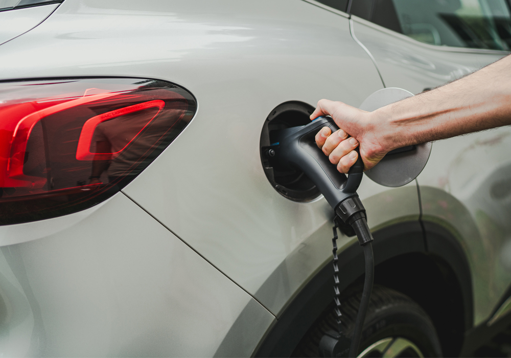 Card image mg_ehs_3.jpg ehs