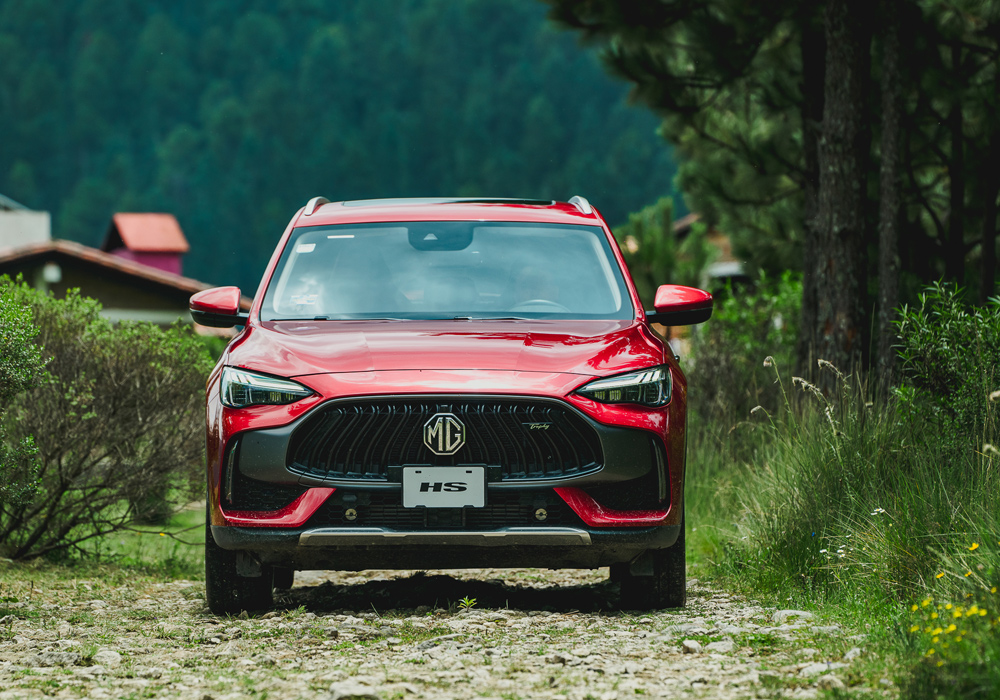 Card image mg_hs_1.jpg hs