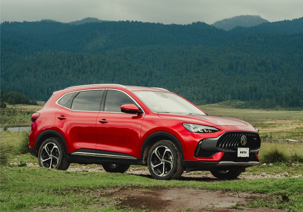 Card image mg_hs_3.jpg hs