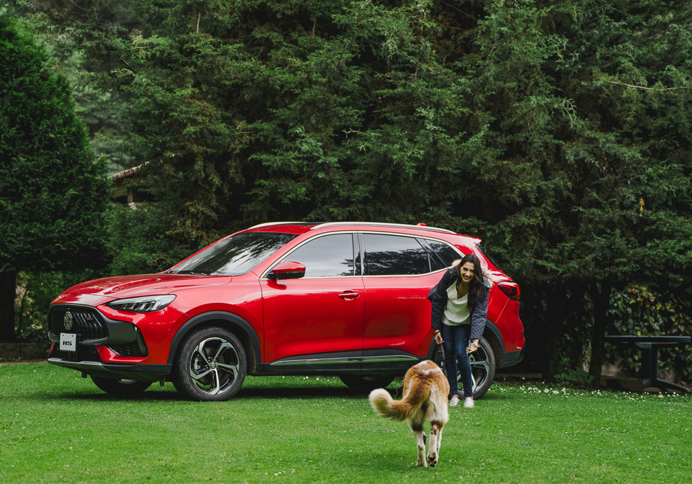 Card image mg_hs_6.jpg hs