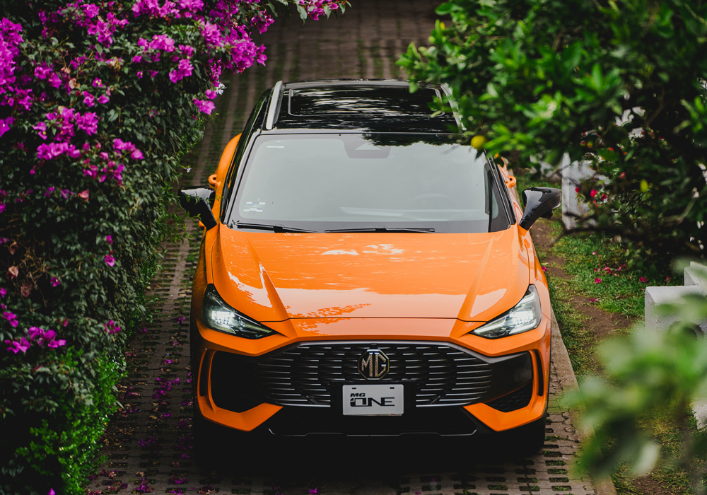 Card image mg_one_13.jpg one