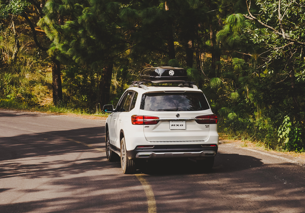 Card image mg_lifestyle-240.jpg rx8